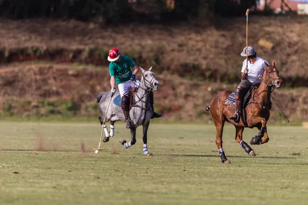 Caballo Polo Juego Acción — Foto de Stock