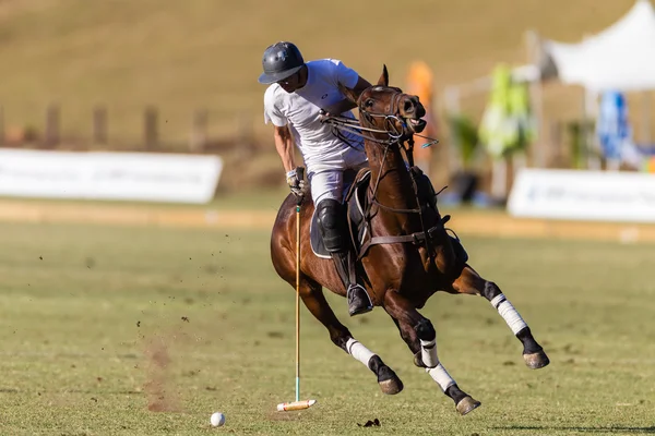 Jogo de pólo de cavalo Ação — Fotografia de Stock