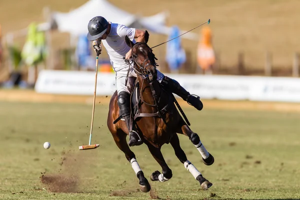 Konia polo gra akcji — Zdjęcie stockowe