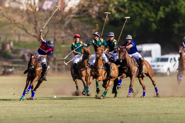 Jogo de pólo de cavalo Ação — Fotografia de Stock