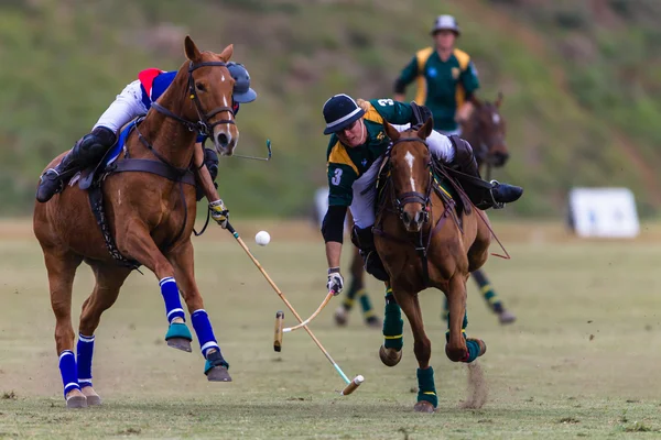 Horse Polo Game Action — Stock Photo, Image