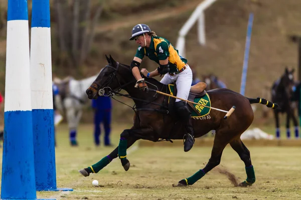 Pferdepolo Spiel Action — Stockfoto