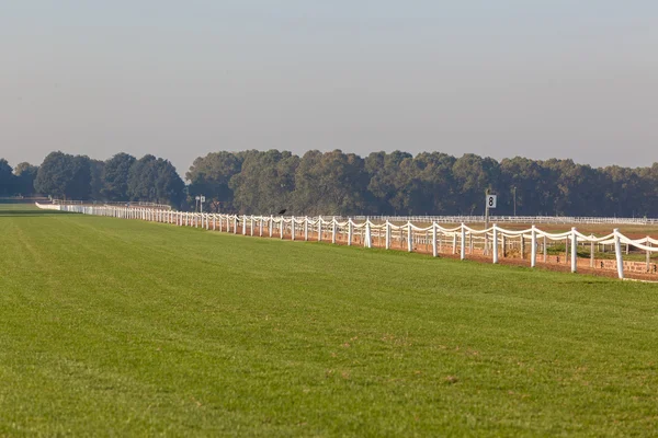 Horse Racing Grass Track Colors — Stock Photo, Image