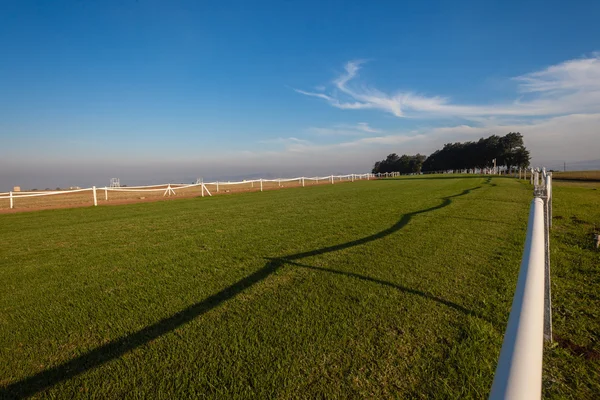 Cores de pista de grama de corrida de cavalo — Fotografia de Stock