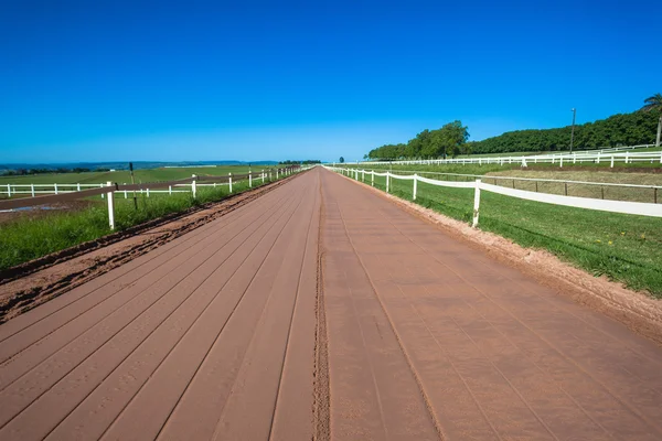 Cores de pista de areia de corrida de cavalos — Fotografia de Stock