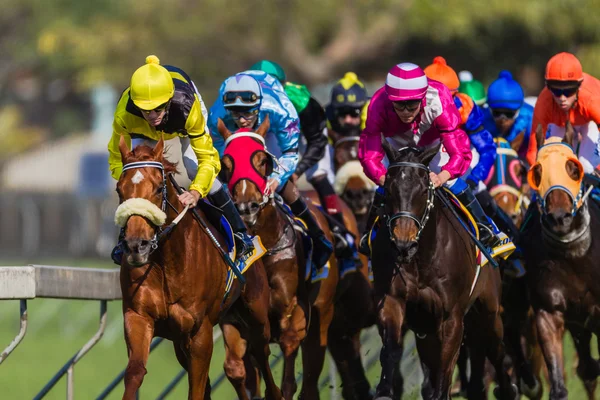 Paardenrennen jockeys actie kleuren — Stockfoto