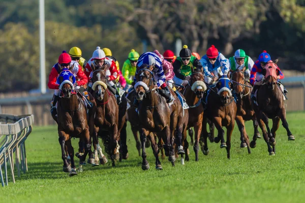 Hästkapplöpning jockeys fokus färger — Stockfoto