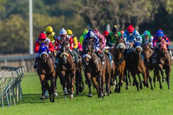 Paardenrennen jockeys actie kleuren — Stockfoto