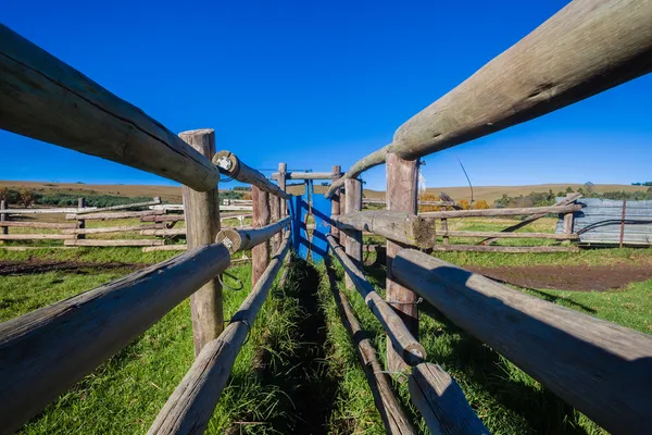 Cattle Corral Pens Fencing Farming — Stock Photo, Image