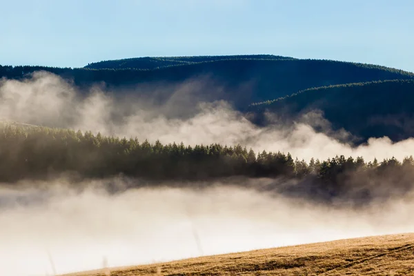 Mist Rising Valley Bosques Montañas —  Fotos de Stock