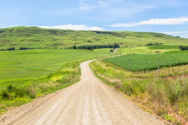 Грязная дорога в сельской местности — стоковое фото