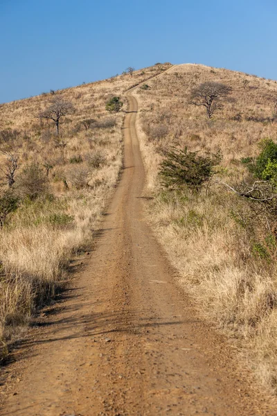 Dirt Road Steep Hillside — Stock Photo, Image