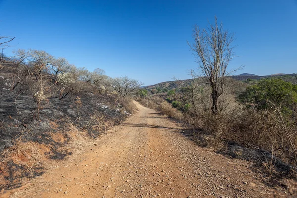 Fuego quema terracería ladera — Foto de Stock