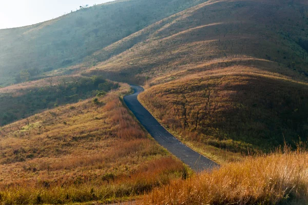 Rural Countryside Road — Stock Photo, Image