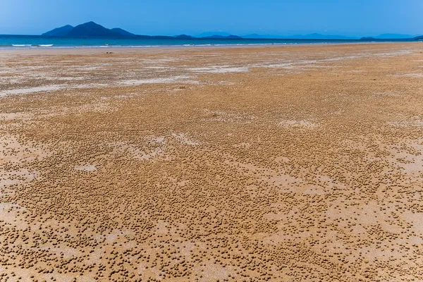 Spiaggia sabbia palle migliaia — Foto Stock