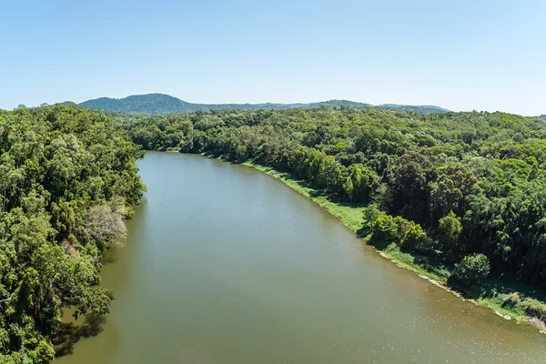 Foresta tropicale della giungla fluviale — Foto Stock