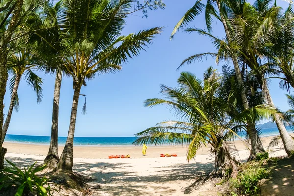 Tropical beach kajakok — Stock Fotó