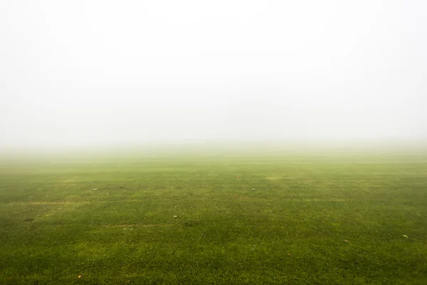 Groene sport veld nevel — Stockfoto