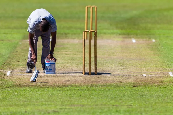 Cricket 1st Teams High Schools — Stock Photo, Image