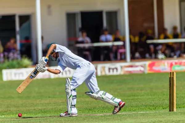 Akční hra kriketu — Stock fotografie