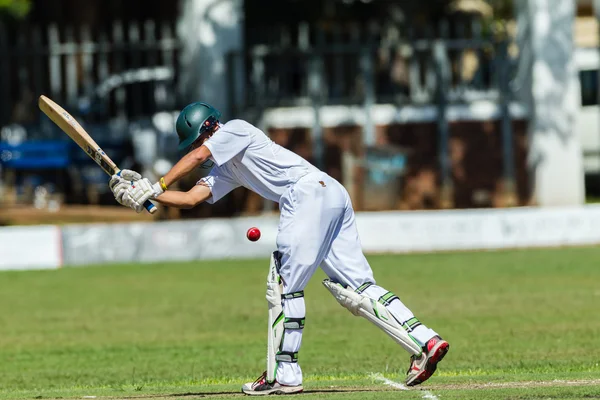 Kriket oyunu eylem — Stok fotoğraf