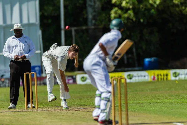 Jogo de Cricket Ação — Fotografia de Stock