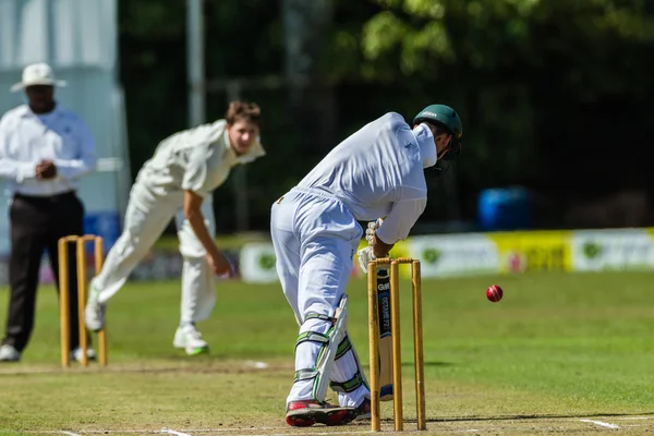 Jogo de Cricket Ação — Fotografia de Stock