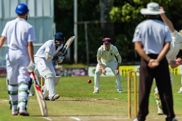 Gioco di cricket Azione — Foto Stock