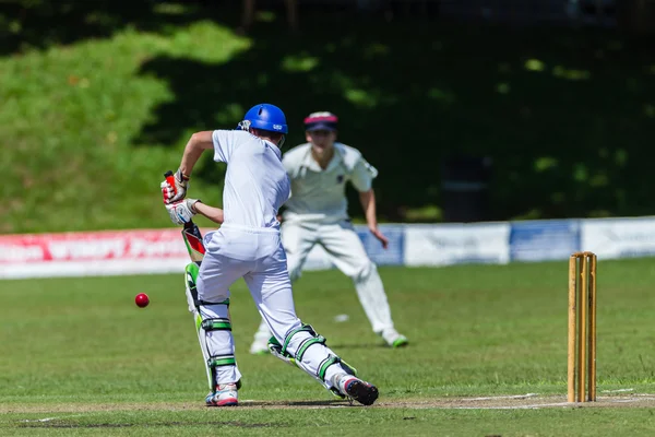 Gioco di cricket Azione — Foto Stock