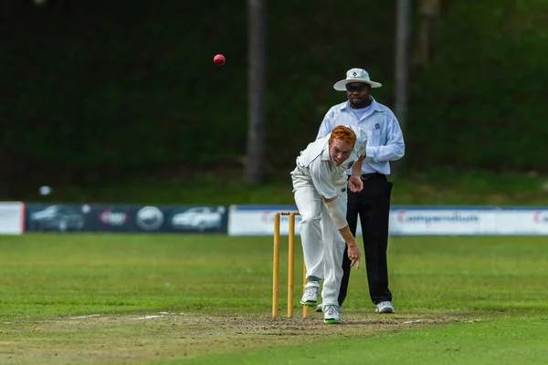 Cricket Game Action — Stock Photo, Image