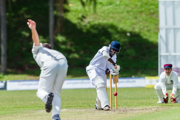 Jogo de Cricket Ação — Fotografia de Stock