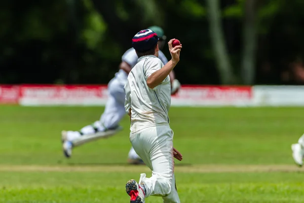 Kriket oyunu eylem — Stok fotoğraf