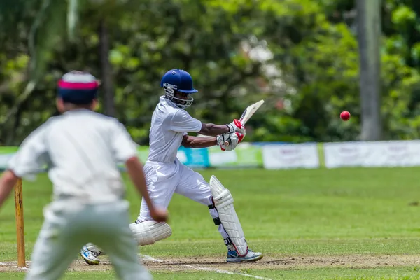 Jogo de Cricket Ação — Fotografia de Stock