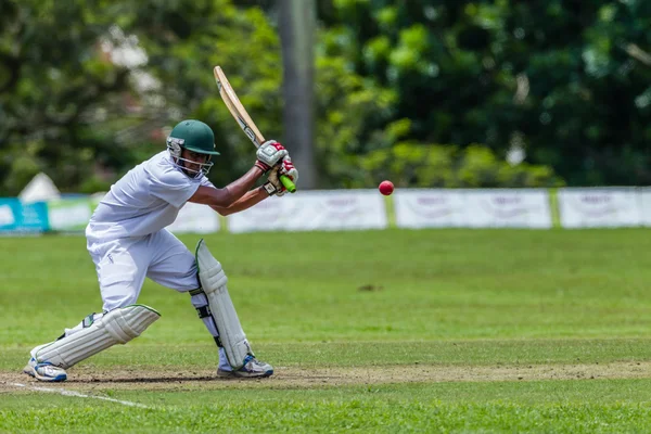 Cricket Game Action — Stock Photo, Image
