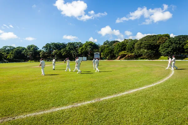 Cricket game gronden spelers batsmen — Stok fotoğraf