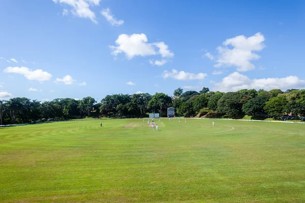 Campo de juego de cricket jugadores bateadores — Foto de Stock