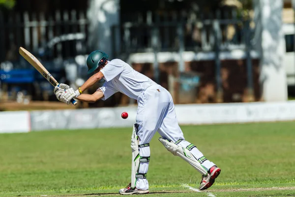 Jogo de Cricket Ação — Fotografia de Stock