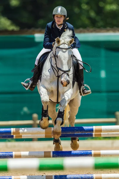 Конный конкурс по прыжкам с лошади — стоковое фото