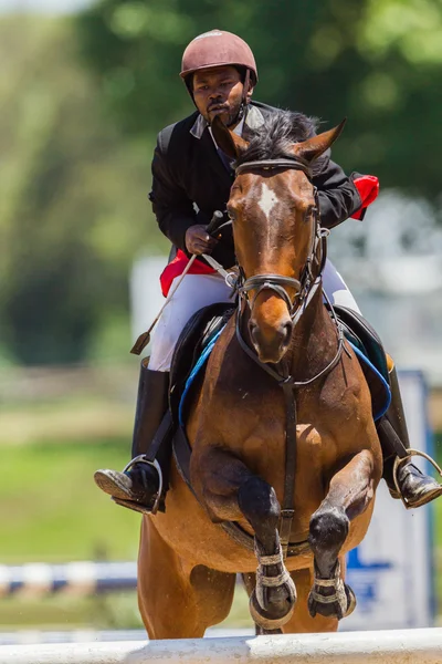 Equestrian Rider Horse Jumping Competition — Stock Photo, Image