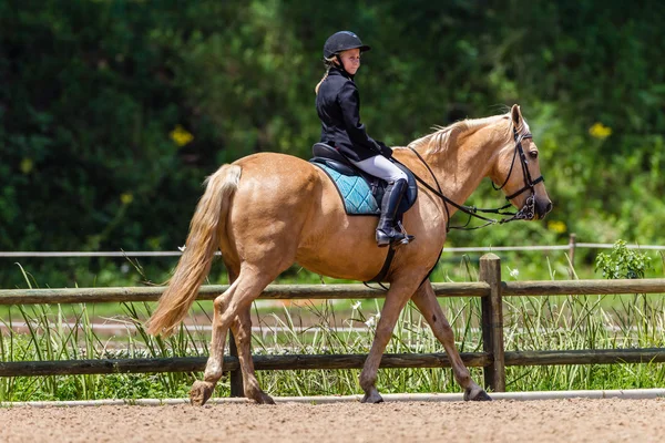 Ecuestre joven chica caballo — Foto de Stock