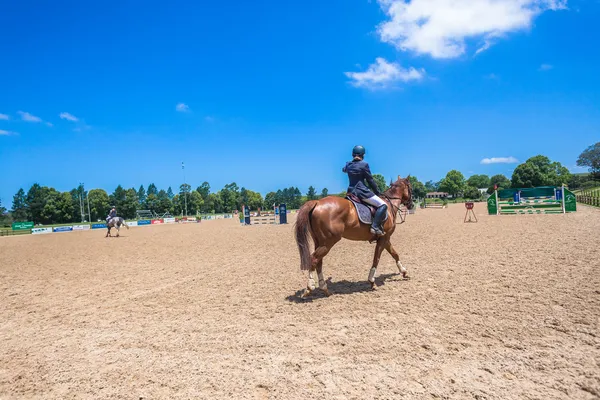 Equestrian pige hest konkurrence - Stock-foto