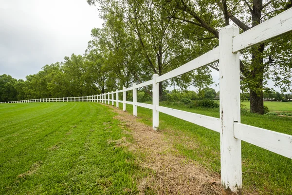 White Fence Green Grass — Stock Photo, Image