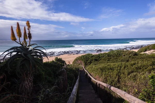 Fale super rury jeffreys bay — Zdjęcie stockowe