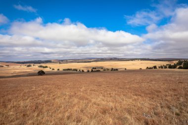 kırsal manzara renkler
