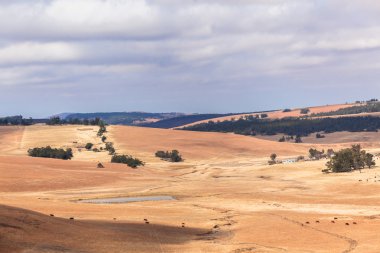 kırsal manzara renkler