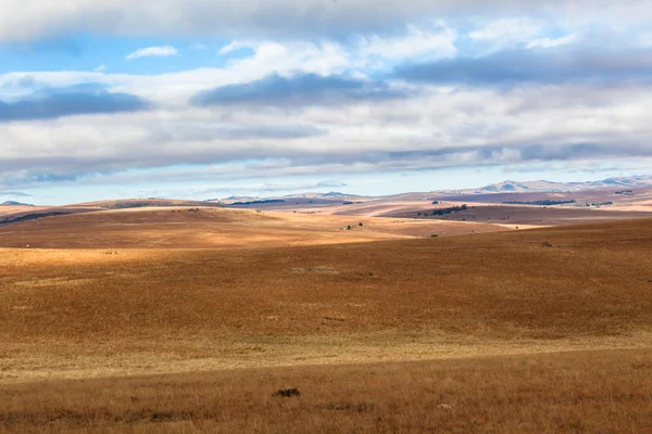 Cores da paisagem rural — Fotografia de Stock