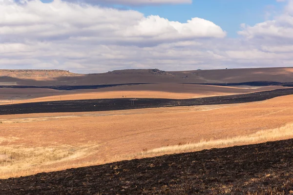 Fire Black Blue Landscape — Stock Photo, Image