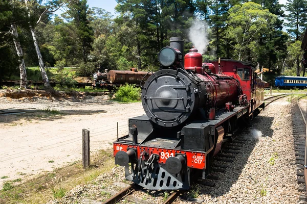 Steam Train Locomotive Operating — Stock Photo, Image