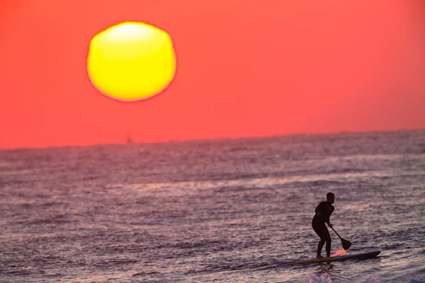 Sörfçü sup gündoğumu okyanus ufuk — Stok fotoğraf