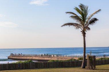 plaj Okyanusu balıkçılık iskele